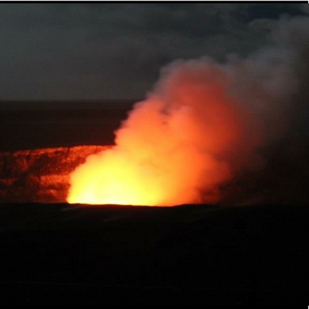 Meet your Posher, Honeylyne